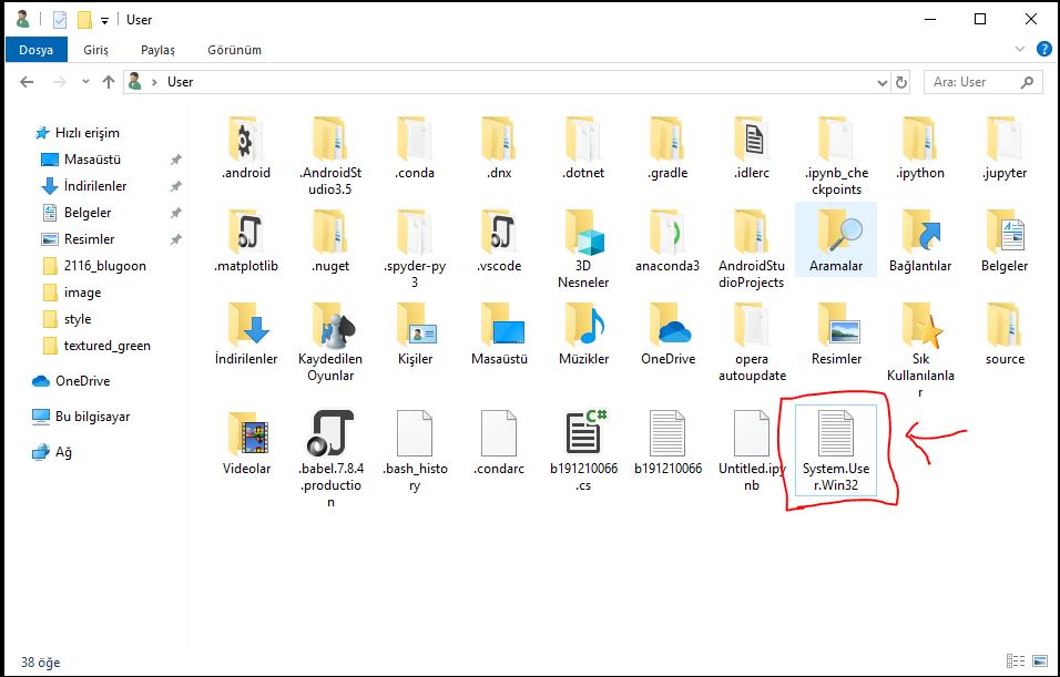 315813283130664.JPG image